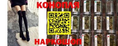 сатива Кунгур