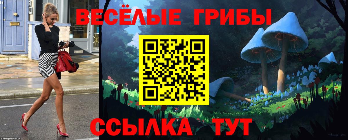 Псилоцибиновые грибы прущие грибы  продажа наркотиков  Ирбит  Галлюциногенные грибы ЛСД 
