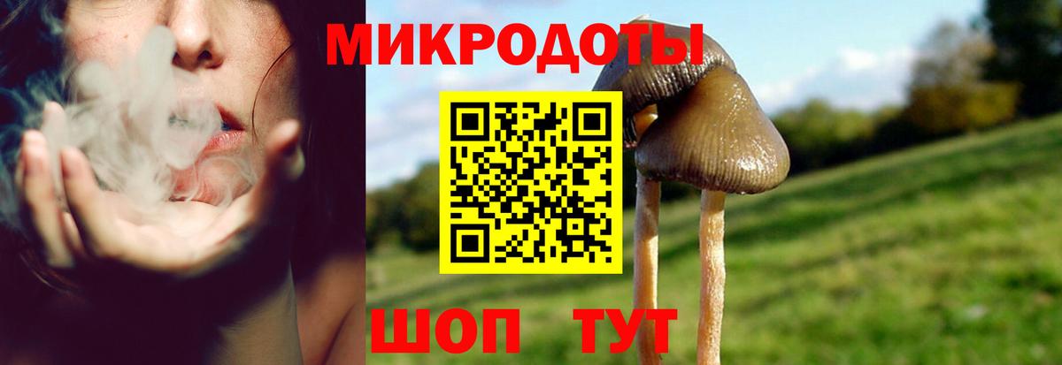 Галлюциногенные грибы MAGIC MUSHROOMS Ирбит